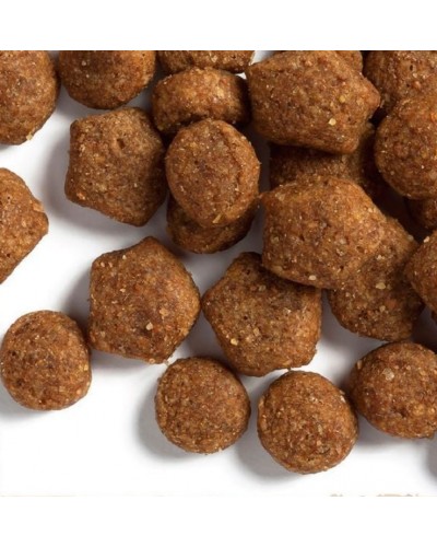 Dog Chow Puppy Large Breed