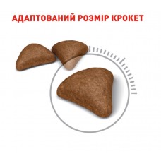 Royal Canin Hairball Care, сухий корм для дорослих котів, виведення шерсті, 1 кг (на розвіс)