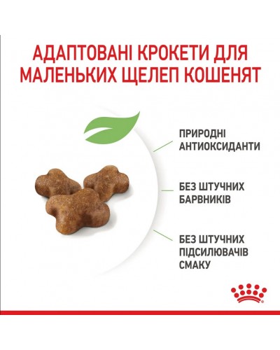 Royal Canin Kitten, сухий корм для кошенят всіх порід, 2 кг