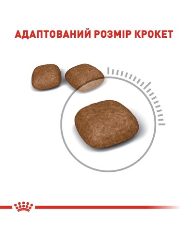 Royal Canin Urinary Care, лікувальний сухий корм для дорослих котів, профілактика сечокам'яної хвороби, 2 кг