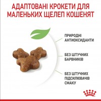 Royal Canin Kitten, сухий корм для кошенят всіх порід, 1 кг (на розвіс)