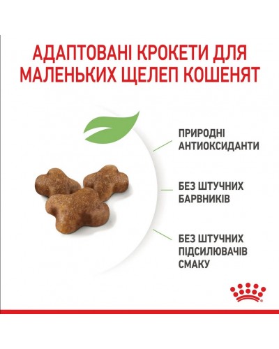 Royal Canin Kitten, сухий корм для кошенят всіх порід, 1 кг (на розвіс)