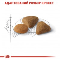 Royal Canin Exigent Savour, сухий корм для дорослих вибагливих котів, 1 кг (на розвіс)