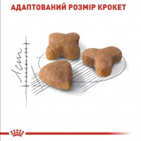 Royal Canin Sensible, сухий корм для дорослих котів з чутливою травною системою, 1 кг (на розвіс)