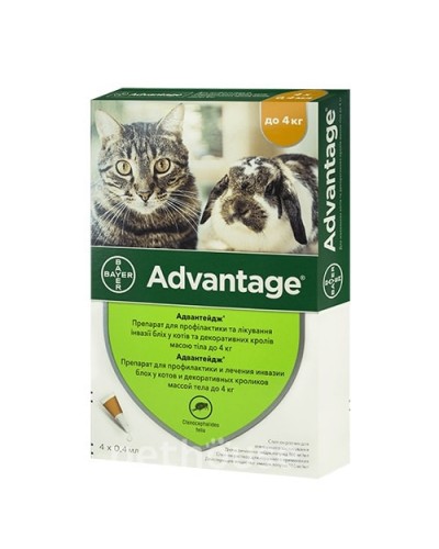 Bayer Advantage 40 від бліх, для котів вагою до 4 кг, 1 піпетка