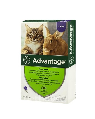 Bayer Advantage 80 від бліх, для котів вагою понад 4 кг, 1 піпетка